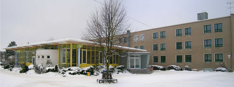 Lauta