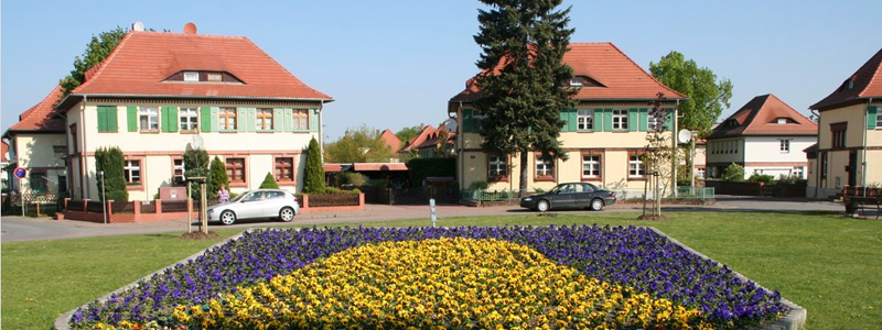 Lauta